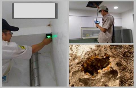 極淨環衛 - 專業白蟻儀器探測 極淨環衛 - 專業白蟻儀器探測