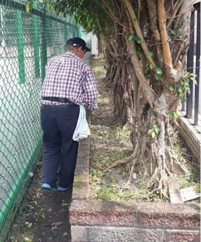 常春園藝商號google可搜尋到:統編79855748 - 社區園藝維護