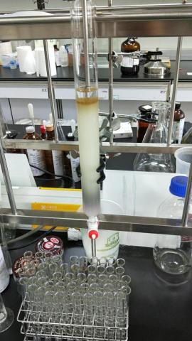 黃建誠 - 管柱層析