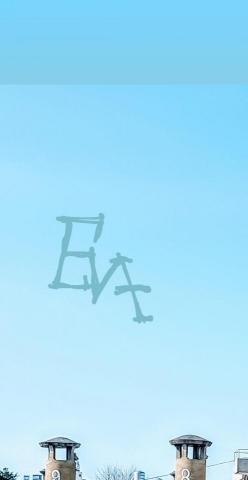 提供一直以來服務的專家羅子茵