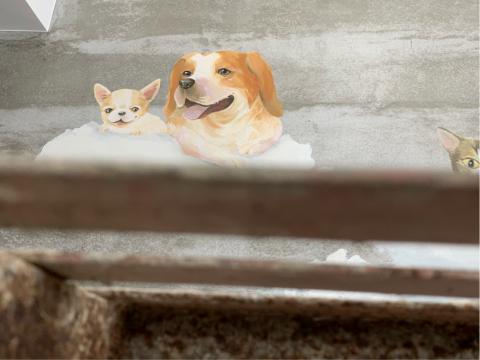 1200km動物精緻壁畫 - 柚紫緣壁畫  1200km動物精緻壁畫 - 柚紫緣壁畫