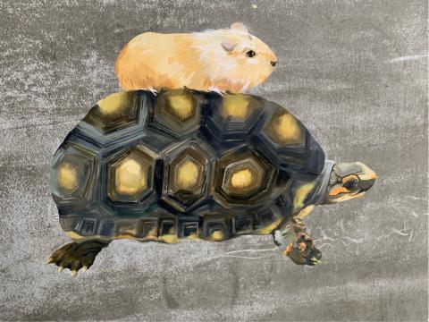 1200km動物精緻壁畫 - 柚紫緣壁畫 紅腿象龜 天竺鼠 1200km動物精緻壁畫 - 柚紫緣壁畫 紅腿象龜 天竺鼠