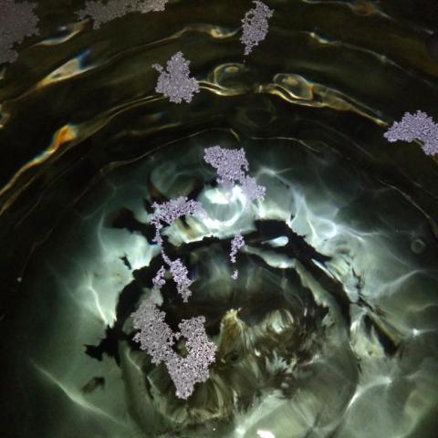 上 炫 企 業 社 - (1)清洗前照片 上 炫 企 業 社 - (1)清洗前照片