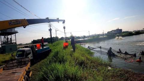 拾捌 屏東拖吊車/屏東道路救援/高雄拖吊車/高雄道路救援 - 魚池打撈 吊掛作業