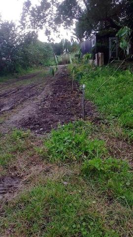 田哥誠心服務，保證責任 - 