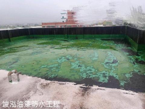 竣泓油漆防水工程 - 地坪防水工程（前）