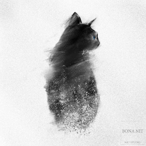 Bonanit art studio 晚安藝術工作室 -  Bonanit art studio 晚安藝術工作室 -