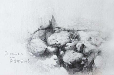 芝萱 - 素描寫生