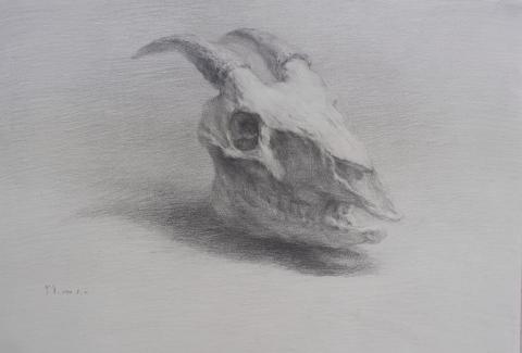 芝萱 - 鉛筆素描