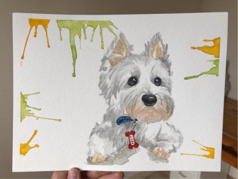 mg - 水彩、色鉛筆