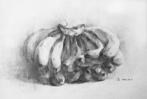 芝萱 - 素描靜物