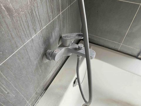 銘鑫環衛有限公司：統編83780220:各種蟲害防治.居家清 - 水垢
處理前