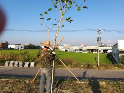 佑聖園藝 - 種植