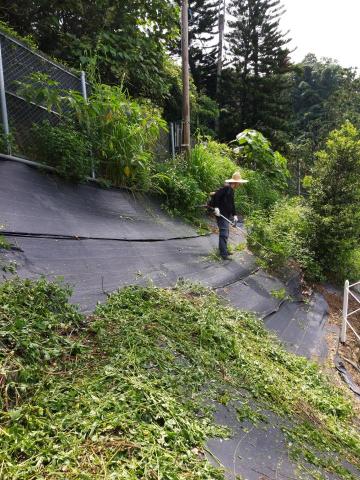 佑聖園藝 - 除草