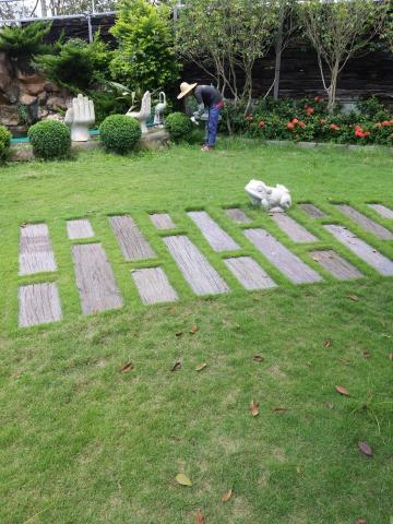 佑聖園藝 - 養護