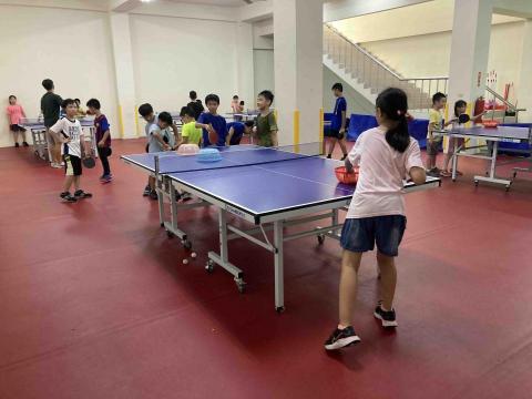 王翊帆 -  王翊帆 -