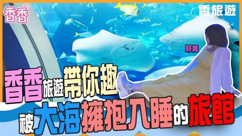 有隻小馬工作室 - 