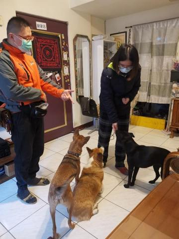 勝通訓犬 許博智 - 