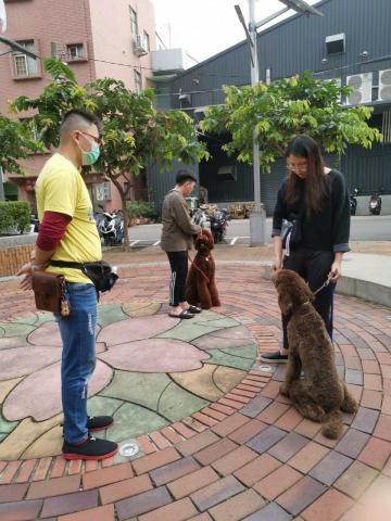 勝通訓犬 許博智 - 