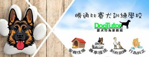 禮拜四寵物星球（勝通犬學校） - 勝通logo