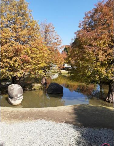 李老師 - 虎尾落雨松