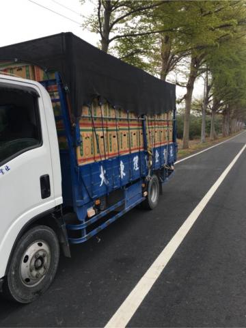 👍大東理貨企業社👍 - 大宗高麗菜運輸