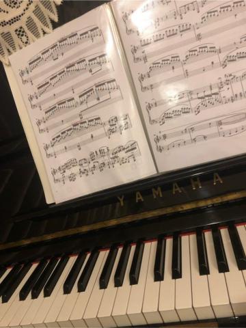 緹琴藝術工作室 - 