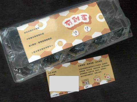 王于晴 - 雞蛋包裝規劃