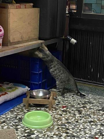 Dallas Cash Flow Design