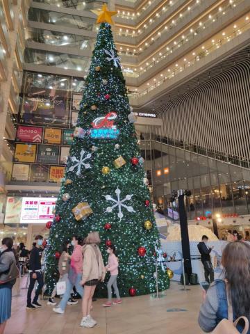 陳貞子 -  陳貞子 -