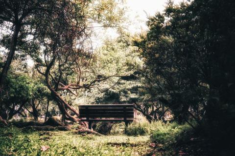 坦克 - 攝影風格 - 一般