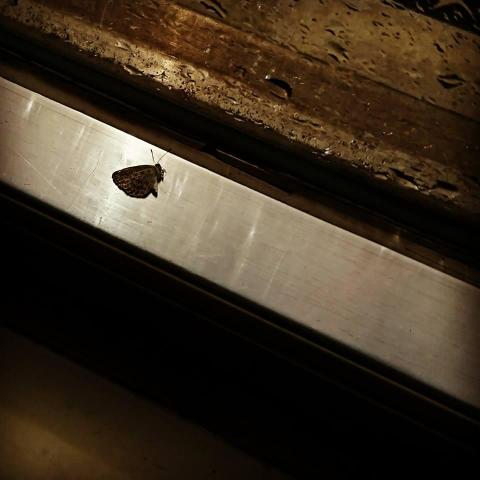 坦克 - 攝影風格 - 情緒渲染風格示意圖