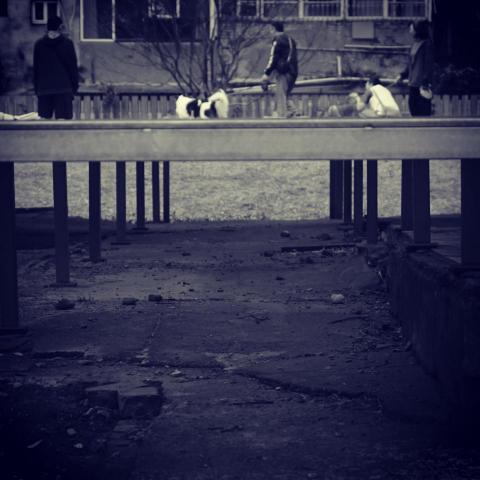 坦克 - 攝影風格 - 敘事