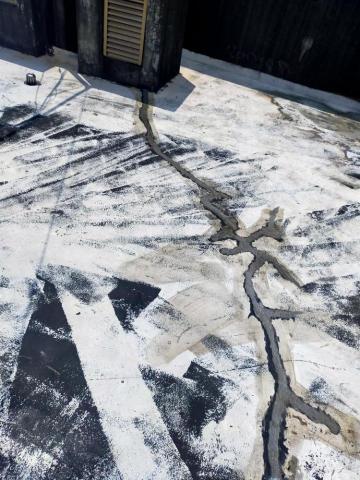 謝芷頤 - 屋頂防水層和補縫