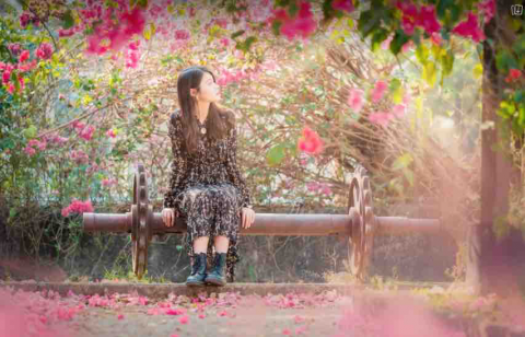 提供寫文服務的專家Amber