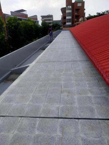 謝芷頤 - 屋頂防水&隔熱磚施作