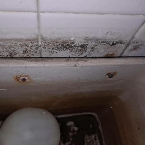 林志成 - 施工前
