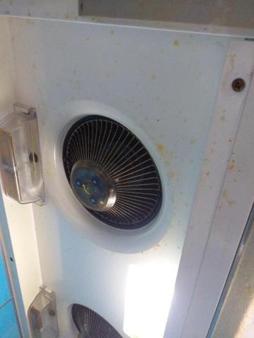 許湘宜 - 廚房整理