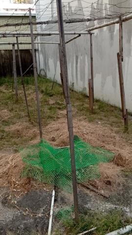 藍全能工作室 -  藍全能工作室 -