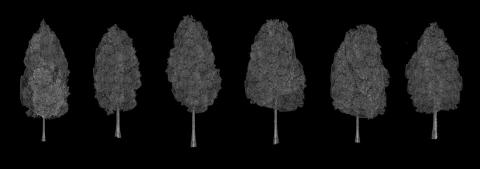 LSD - 替在地服裝品牌建立的風格化圖像識別系統。將品牌的永續化、在地化的精神，轉化為一套能夠組合成無限可能性的圖像語言。