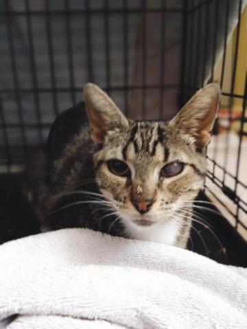 Vivian - 來寄宿過兩週的漂亮媽媽~