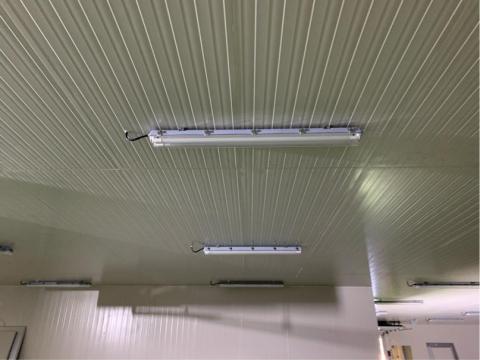 水電阿成 - 防潮燈具安裝