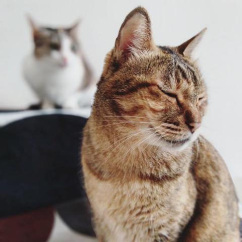 Vivian - 我家老大~