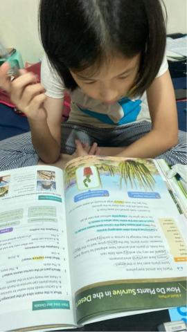 陳品妤peggy チンヒンヨ - 上課學生案件