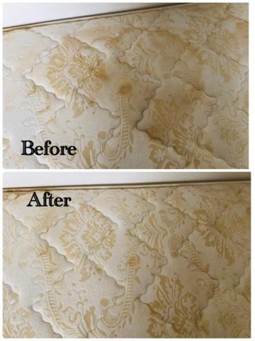 潔府有限公司 - 尿漬清潔