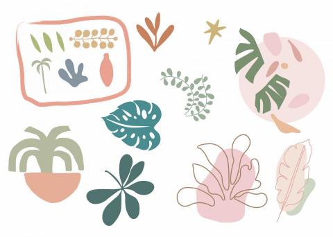 MENG - |視覺插畫設計| MENG - |視覺插畫設計|