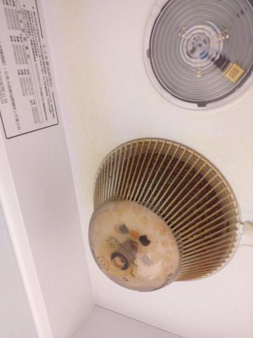 許湘宜 - 清洗前（濾網）