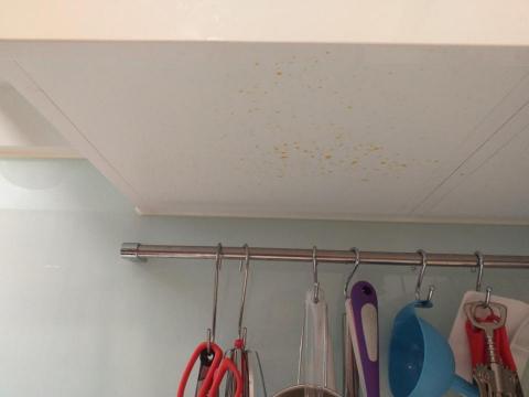 許湘宜 - 清洗前