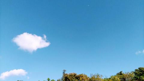 吳小姐 - 人生艱難，但我們保持愉快