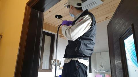 極淨專業除蟲 - 頂棚白蟻防治